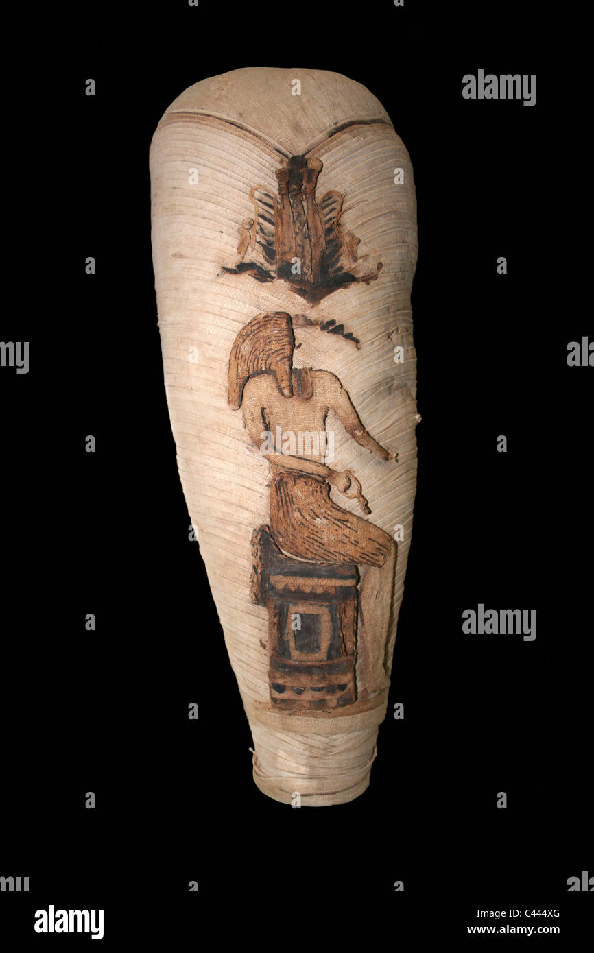 Mummie da resti di un Ibis (sacro al dio egiziano Thoth) Foto Stock