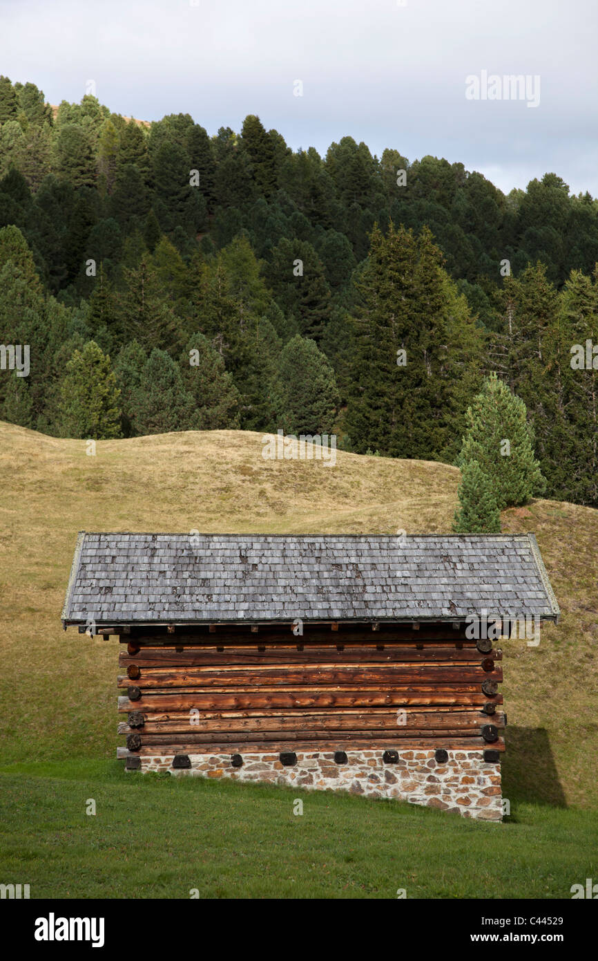 Una cabina in un campo Foto Stock