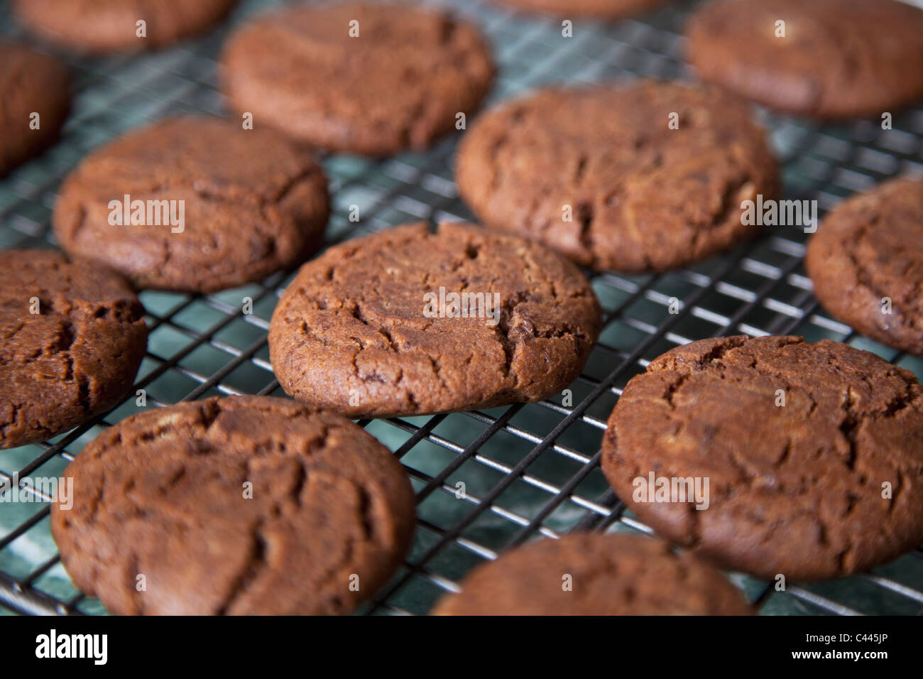 Dettaglio di biscotti al cioccolato su un rack Foto Stock