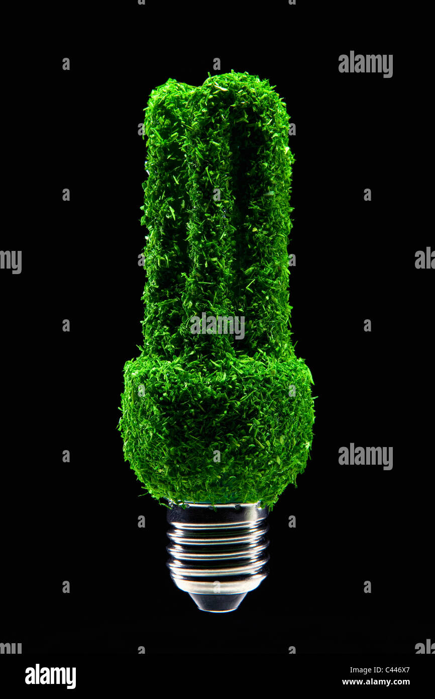 Luce a risparmio energetico la lampadina ricoperto di erba verde Foto Stock