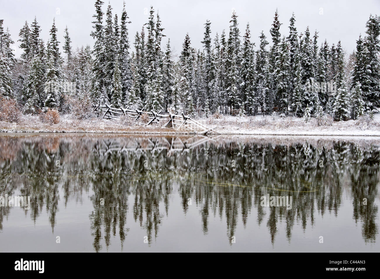 Recinzione, riflessione, lago, neve Whitehorse, Yukon, Canada, America del Nord, legno, natura, neve Foto Stock