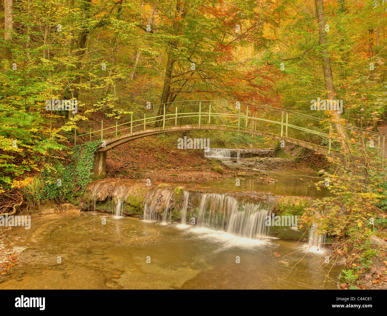 Ponte sul fiume, flusso, autunno, Kusnacht, romanticamente, Tobel, Svizzera, Brook, Kusnachter Tobel Foto Stock