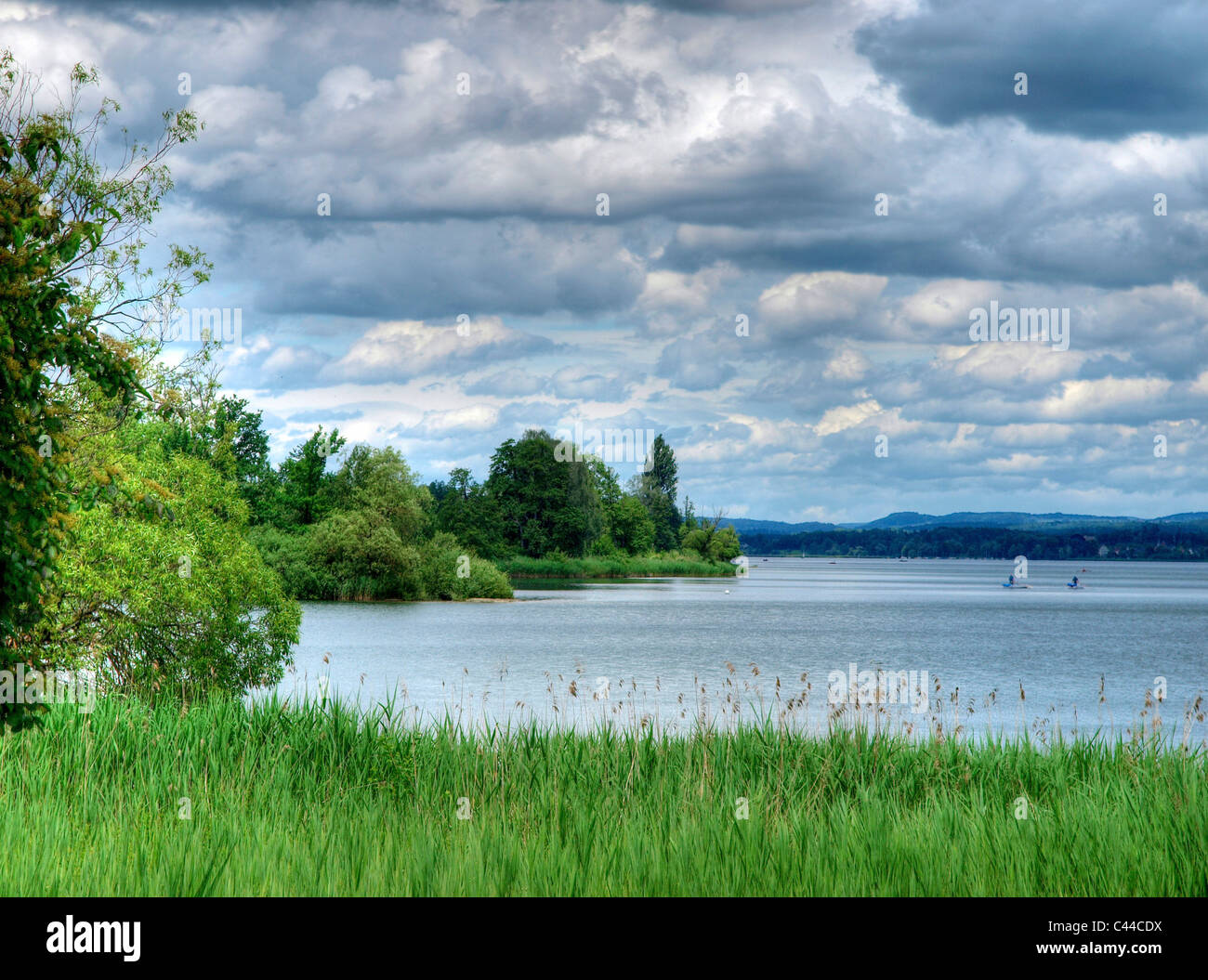 Alberi, afferrare il lago verde natura riserva, reed, protezione degli uccelli, nuvole, laghi, canton Zurigo, Svizzera, sul lago, sul mare Foto Stock