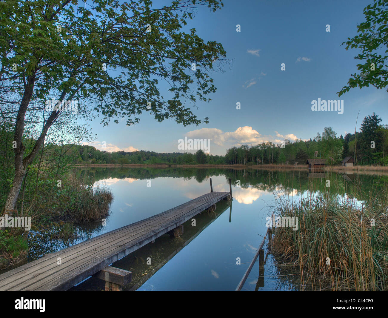 Blu, molla, himmel, idyl, passerella, lago, legno, foresta, acqua nuvole, canton Zurigo, Svizzera, Husemersee, lago, Ossinge Foto Stock