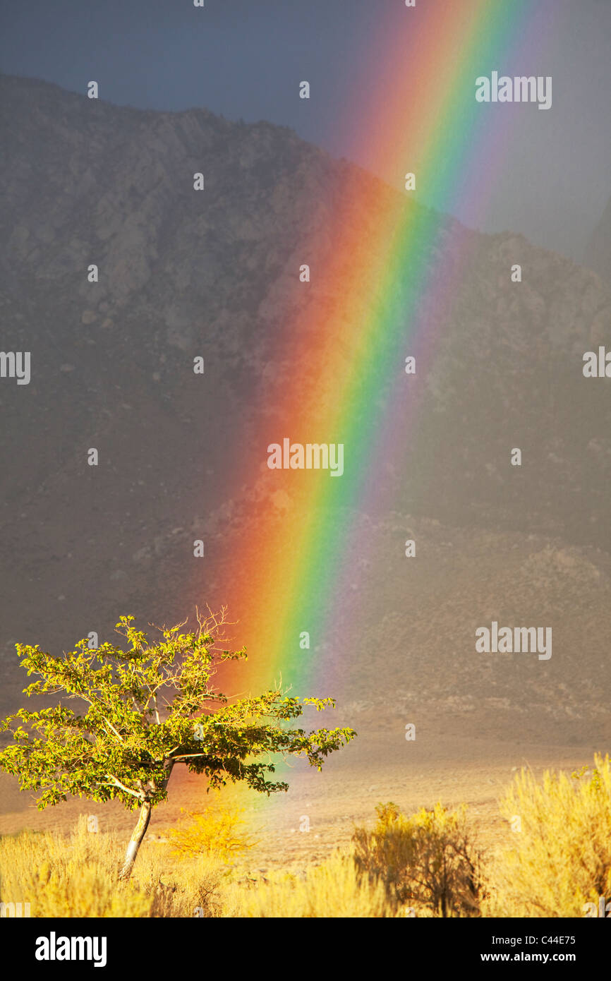 Rainbow in Sierra Newada montagne Foto Stock