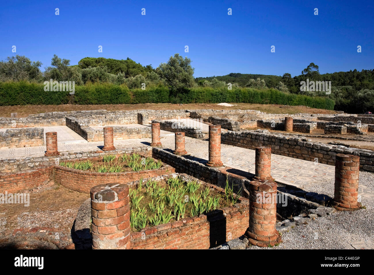 Conimbriga rovine romane, Coimbra, Beira Litoral, Portogallo Foto Stock