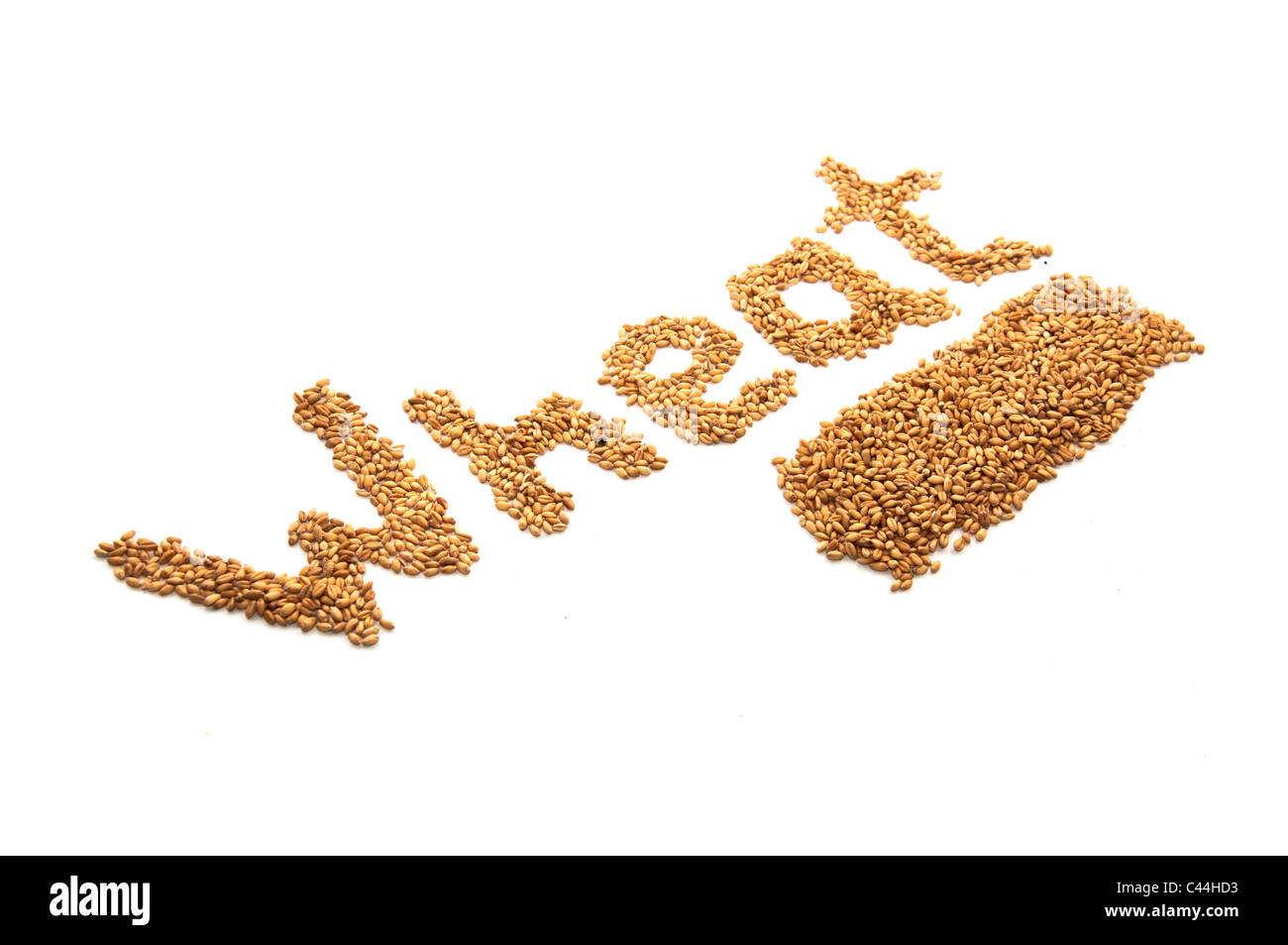 Chicchi di grano su uno sfondo bianco Foto Stock