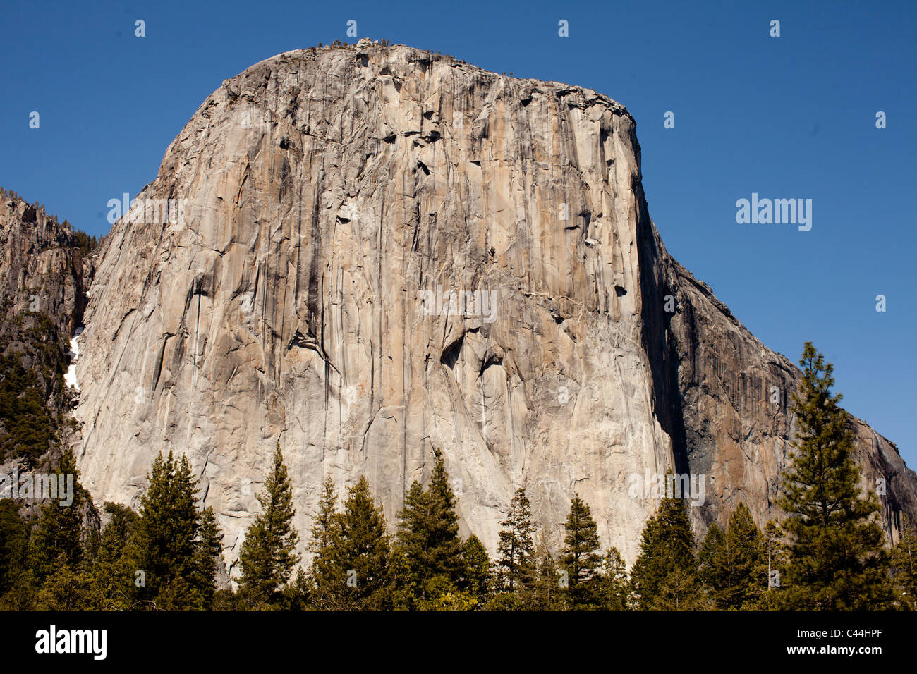 El Capitan, il Parco Nazionale di Yosemite. La verticalità è quasi un chilometro e alta è una destinazione popolare per gli escursionisti. Foto Stock