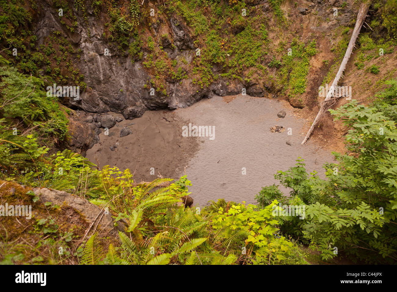 MENDOCINO COUNTY, CALIFORNIA, STATI UNITI D'AMERICA - dolina vicino alla costa. Foto Stock