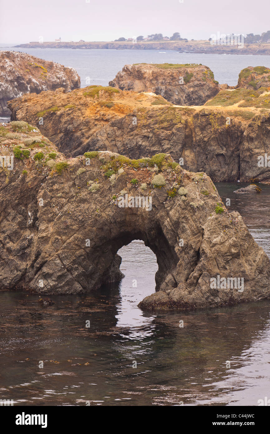 MENDOCINO, IN CALIFORNIA, STATI UNITI D'AMERICA - formazioni rocciose sulla costa del Pacifico, Mendocino Headlands State Park. Foto Stock