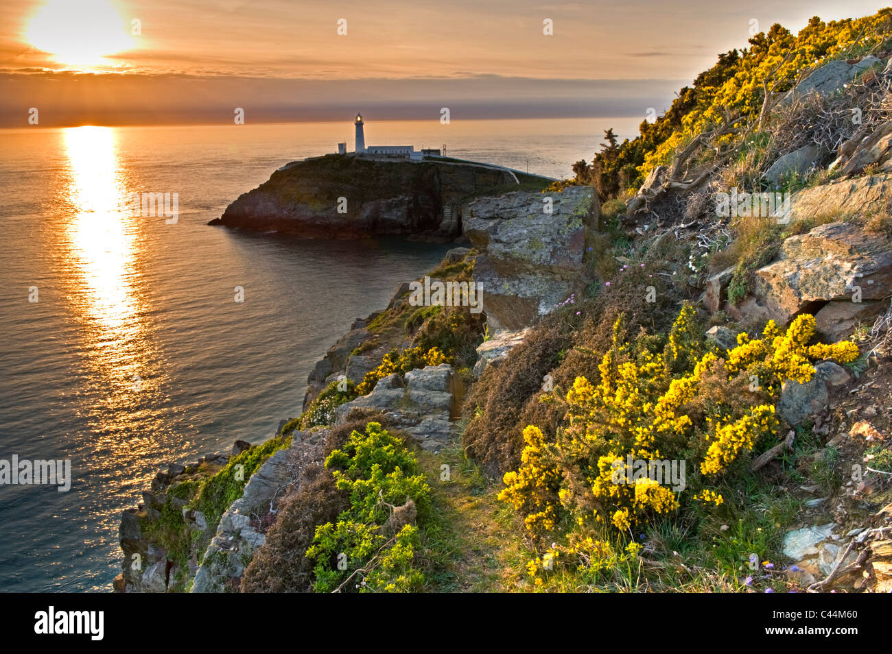 Sud pila faro al tramonto, Isola Santa, Anglesey, Galles del Nord, Regno Unito Foto Stock