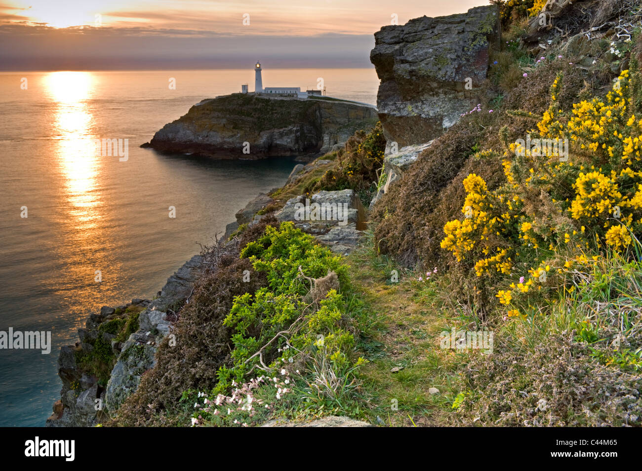 Sud pila faro al tramonto, Isola Santa, Anglesey, Galles del Nord, Regno Unito Foto Stock
