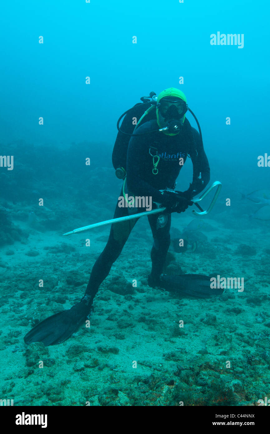 Subacqueo con la difesa di squalo stick, Beqa Lagoon, Viti Levu, Isole Figi Foto Stock