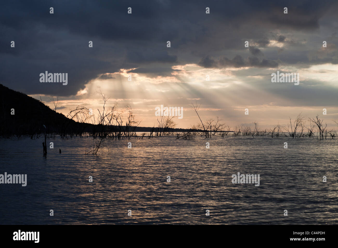 Sunrise a Saltlake lago Enriquillo, Independencia Provincia, Repubblica Dominicana Foto Stock