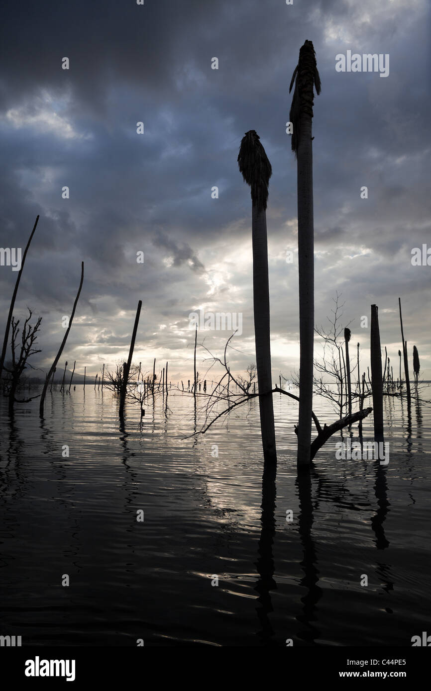 Sunrise a Saltlake lago Enriquillo, Independencia Provincia, Repubblica Dominicana Foto Stock