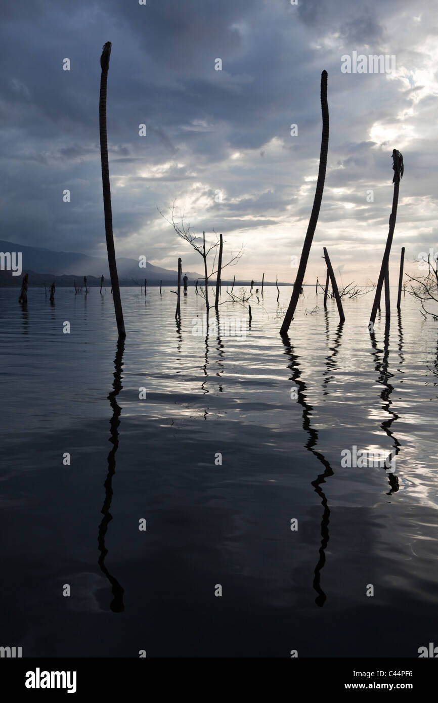 Alba a Saltlake lago Enriquillo, Independencia Provincia, Repubblica Dominicana Foto Stock