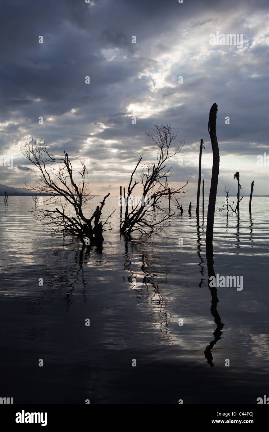 Impressioni di Saltlake lago Enriquillo, Independencia Provincia, Repubblica Dominicana Foto Stock