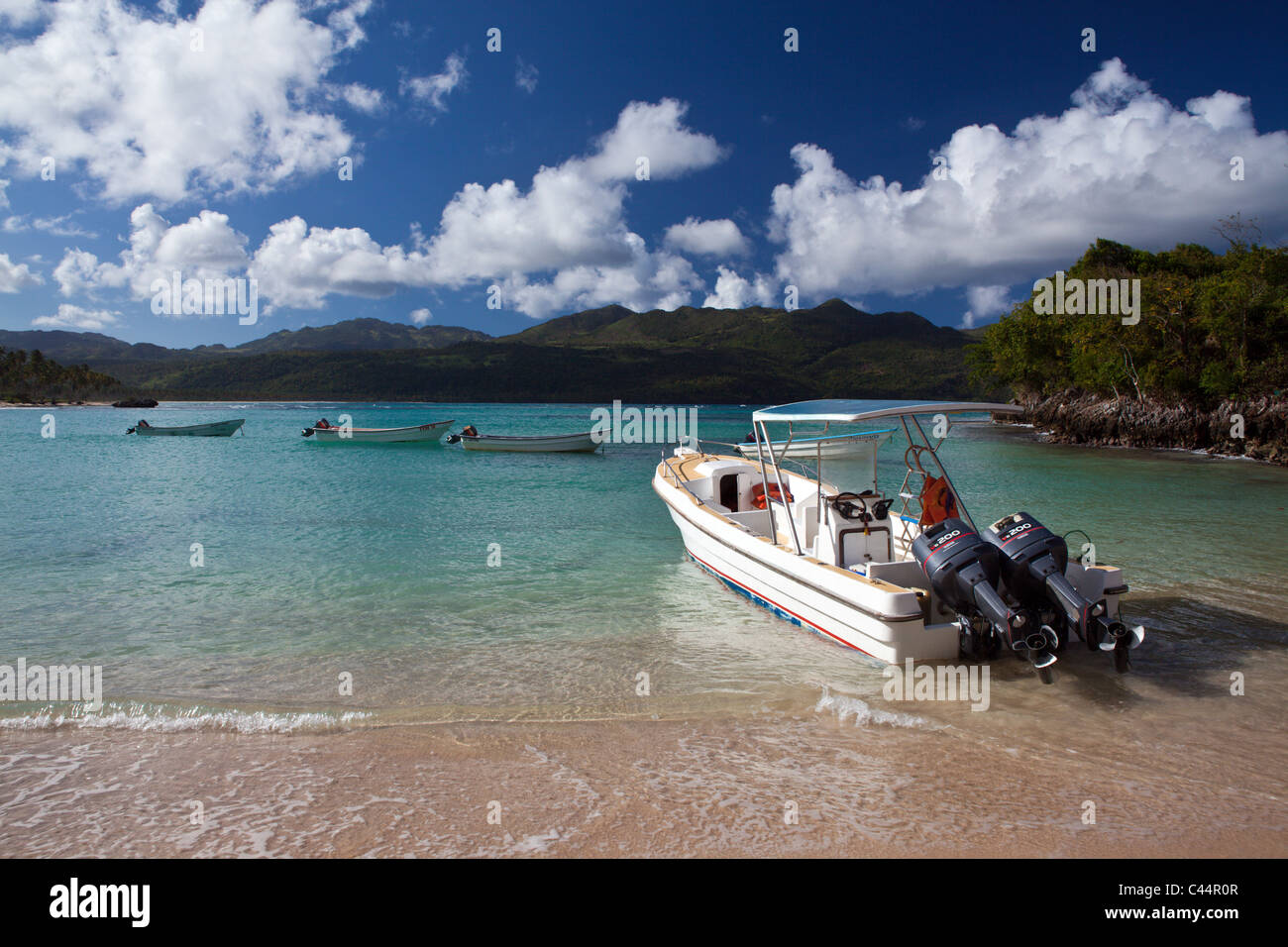 Playa Rincon spiaggia vicino a Las Galeras, penisola di Samana, Repubblica Dominicana Foto Stock