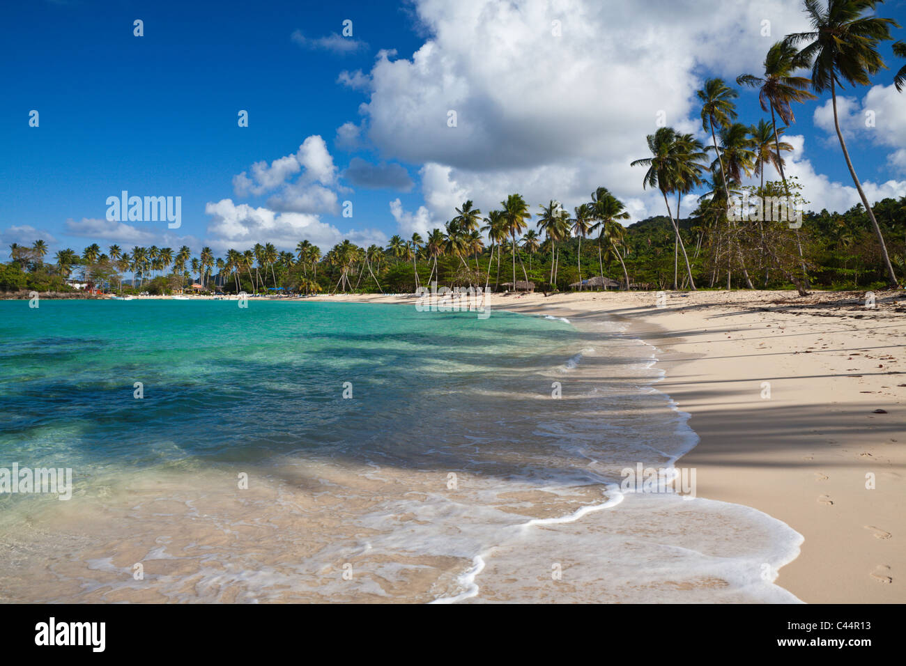 Playa Rincon spiaggia vicino a Las Galeras, penisola di Samana, Repubblica Dominicana Foto Stock