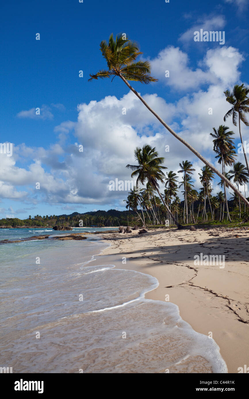 Playa Rincon spiaggia vicino a Las Galeras, penisola di Samana, Repubblica Dominicana Foto Stock