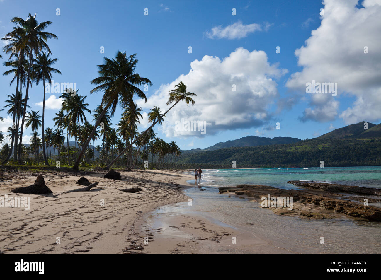 Playa Rincon spiaggia vicino a Las Galeras, penisola di Samana, Repubblica Dominicana Foto Stock