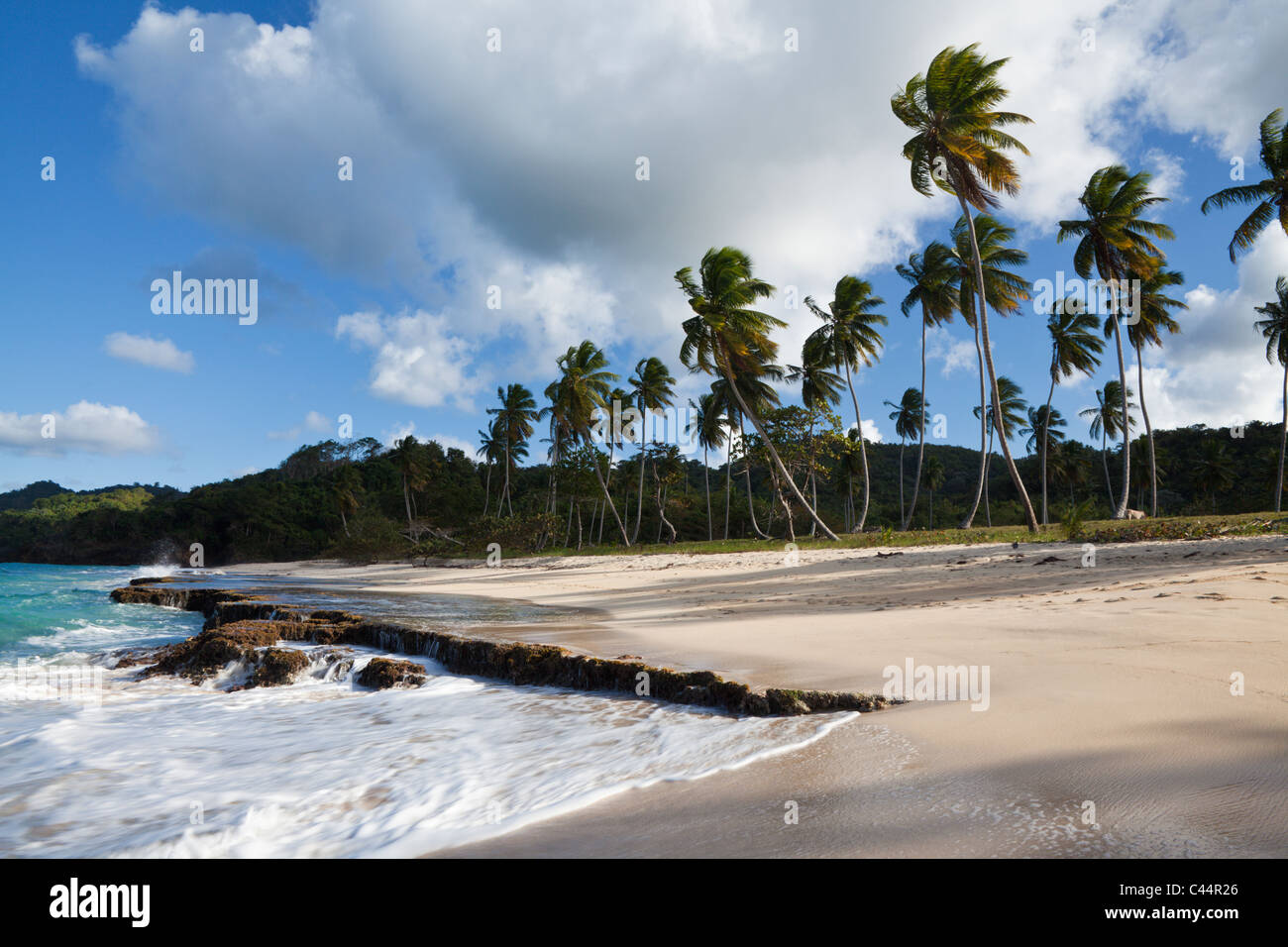 Playa Rincon spiaggia vicino a Las Galeras, penisola di Samana, Repubblica Dominicana Foto Stock