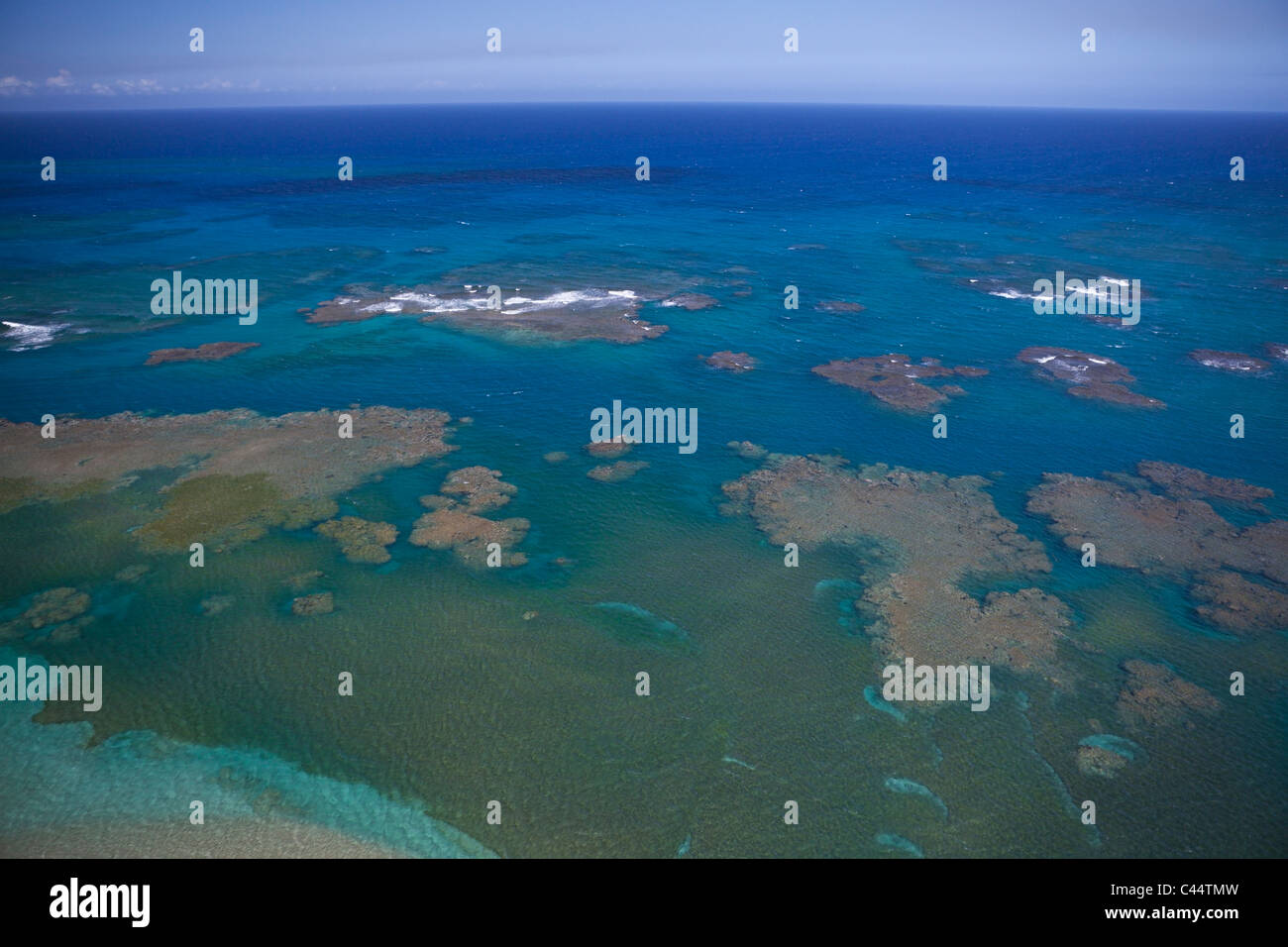 Coral Reef, Puerto Plata, Repubblica Dominicana Foto Stock