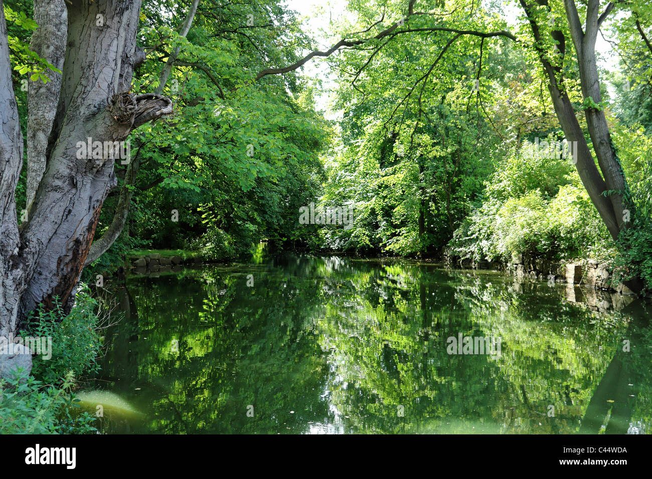 Germania, Meclemburgo-Pomerania occidentale, Wismar, calce giardino, pit, fiume, flusso, artificialmente, corso d'acqua, alberi, canali, parco, wate Foto Stock