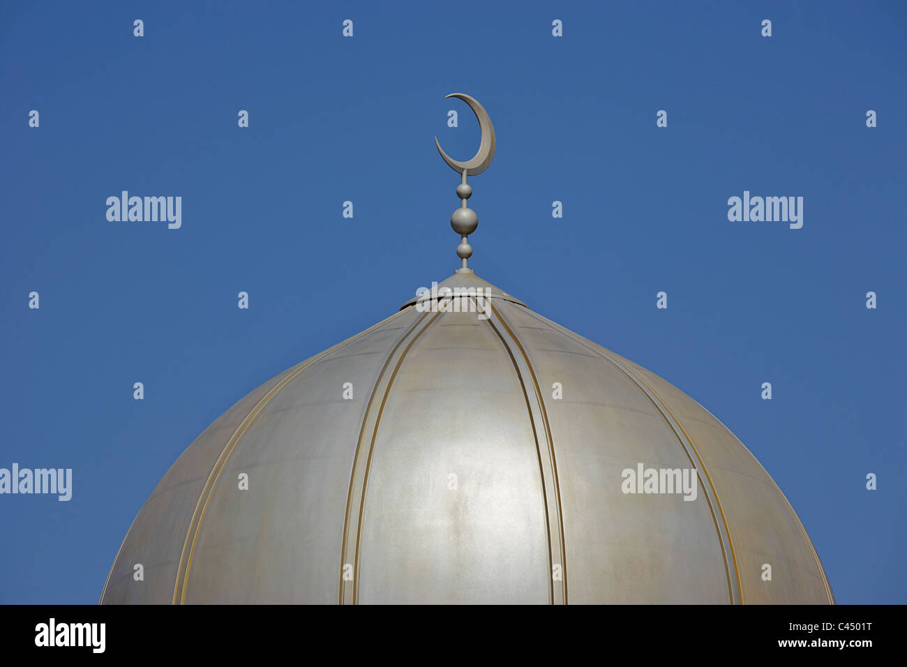 Inghilterra, Londra, Whitechapel, East London moschea, la cupola della moschea contro sky Foto Stock