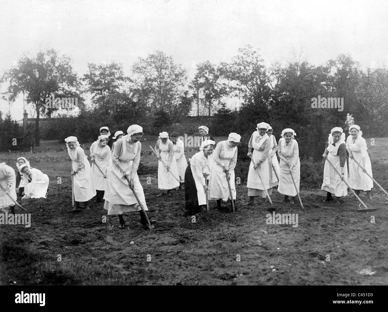 Orto per lo sforzo di guerra, 1917 Foto Stock