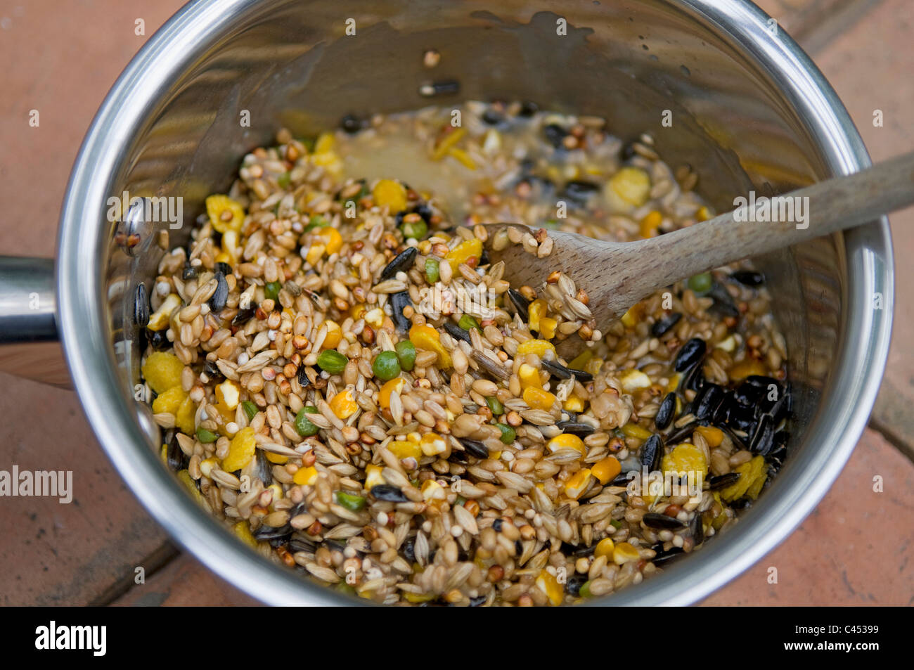 Alimentazione di uccelli semi essendo preparato in padella, close-up Foto Stock