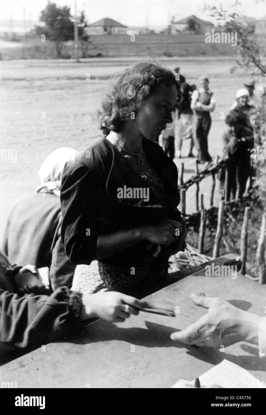 ID di controllo russa operai slave, 1942 Foto Stock