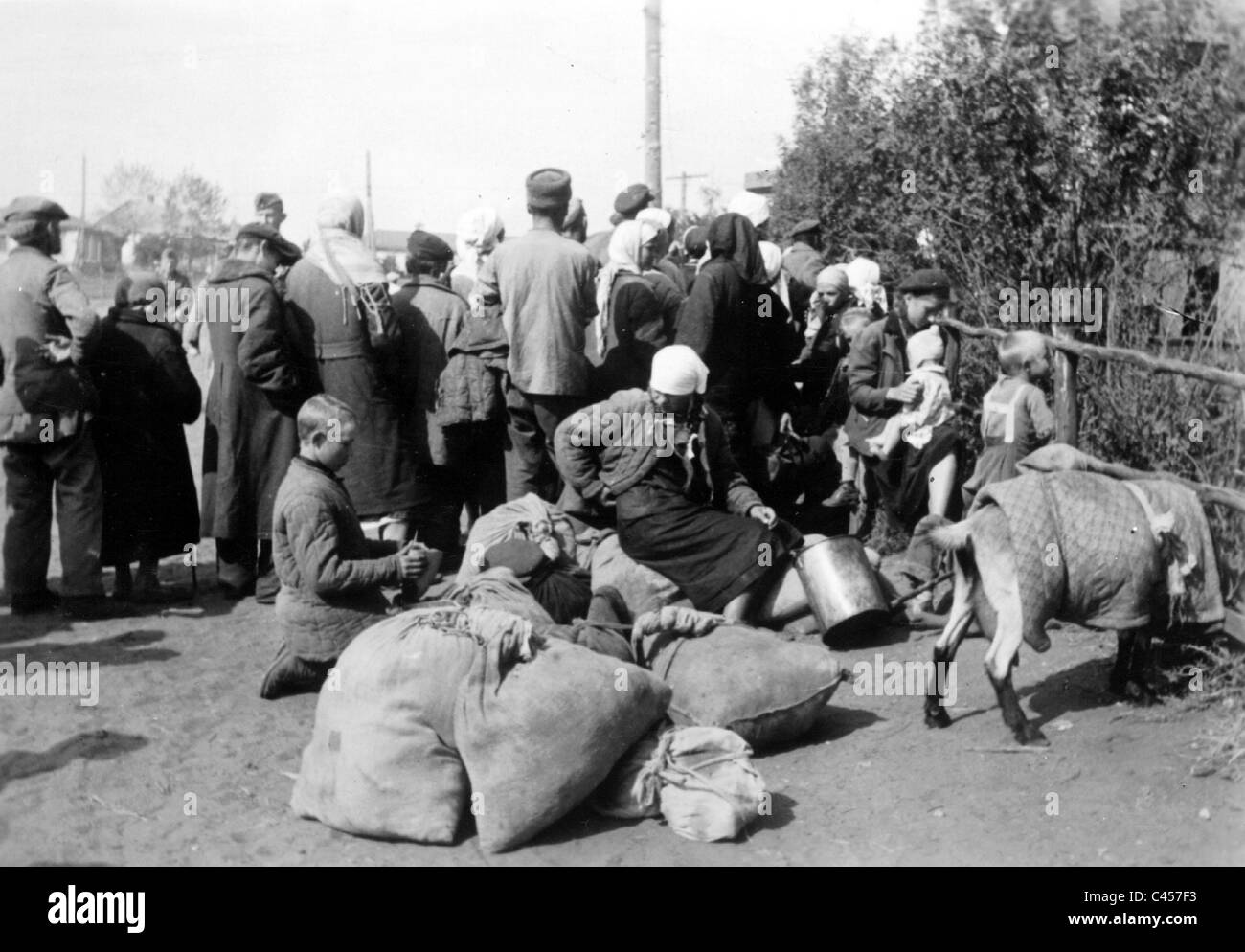 Federazione dei rifugiati nel campo di rifugiati Kurbatowo, 1942 Foto Stock