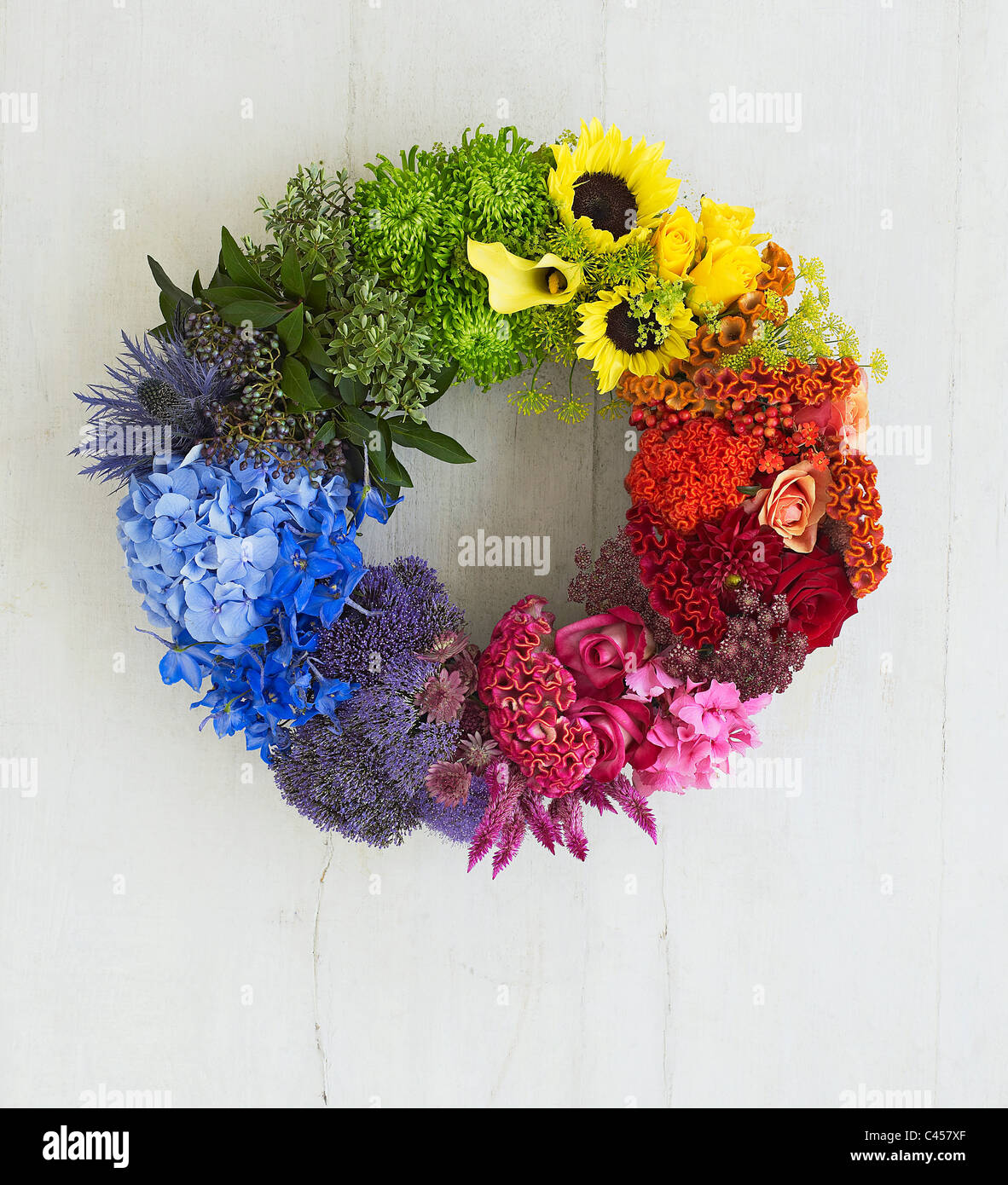 Multi colorata ghirlanda di fiori, close-up Foto Stock
