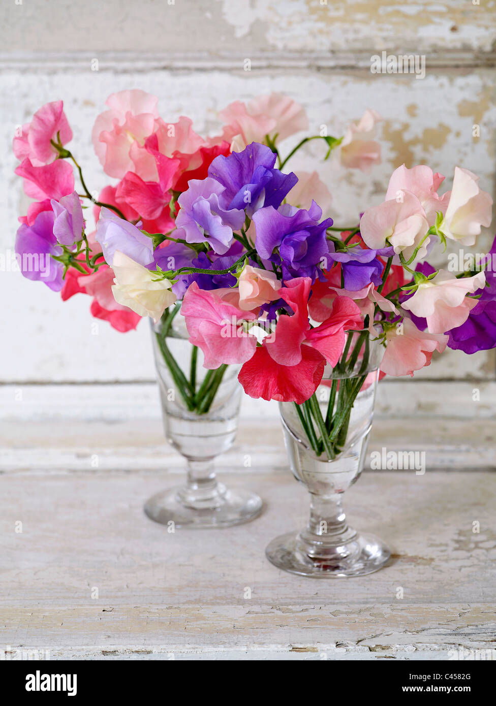 Multi-colorati fiori di pisello in due vasi di vetro, close-up Foto Stock