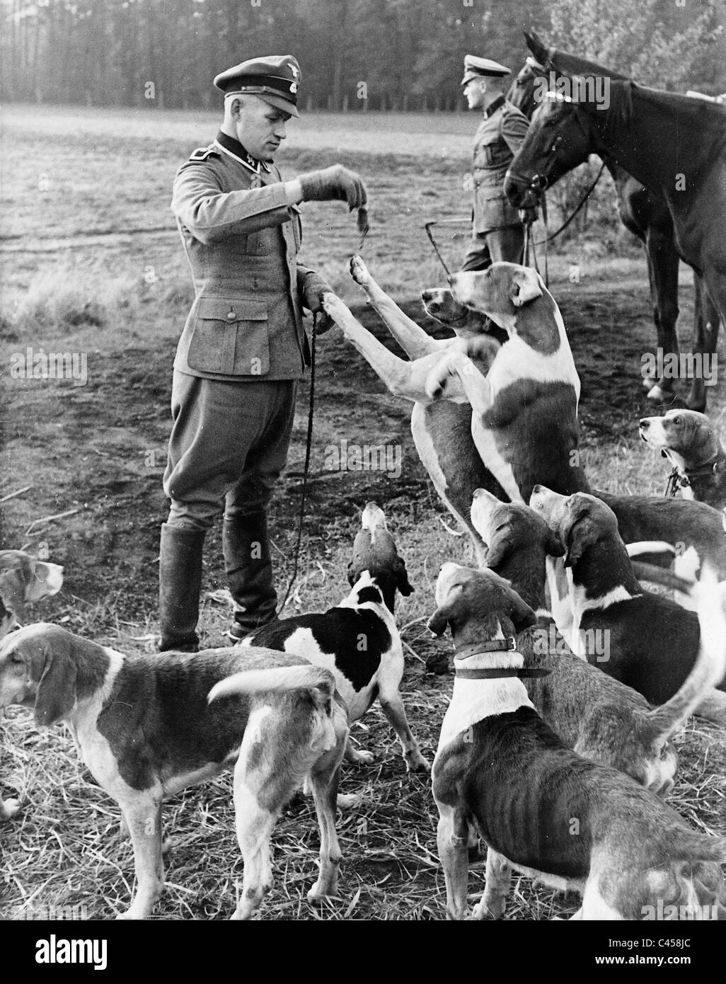 Polizia montata con cani da caccia, 1938 Foto Stock