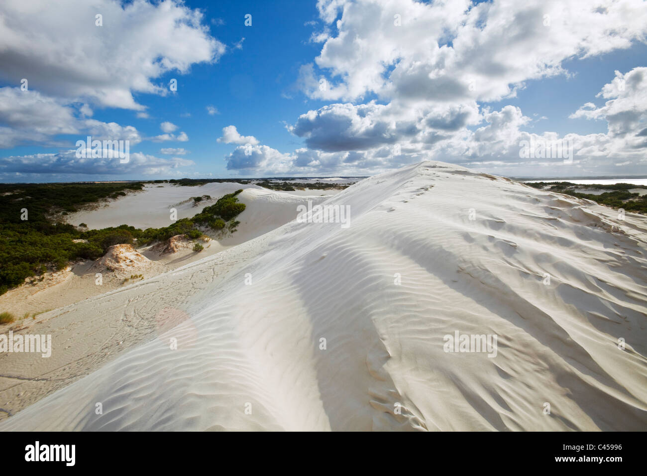 Le dune di sabbia vicino Wylie Bay. Esperance, Australia occidentale, Australia Foto Stock