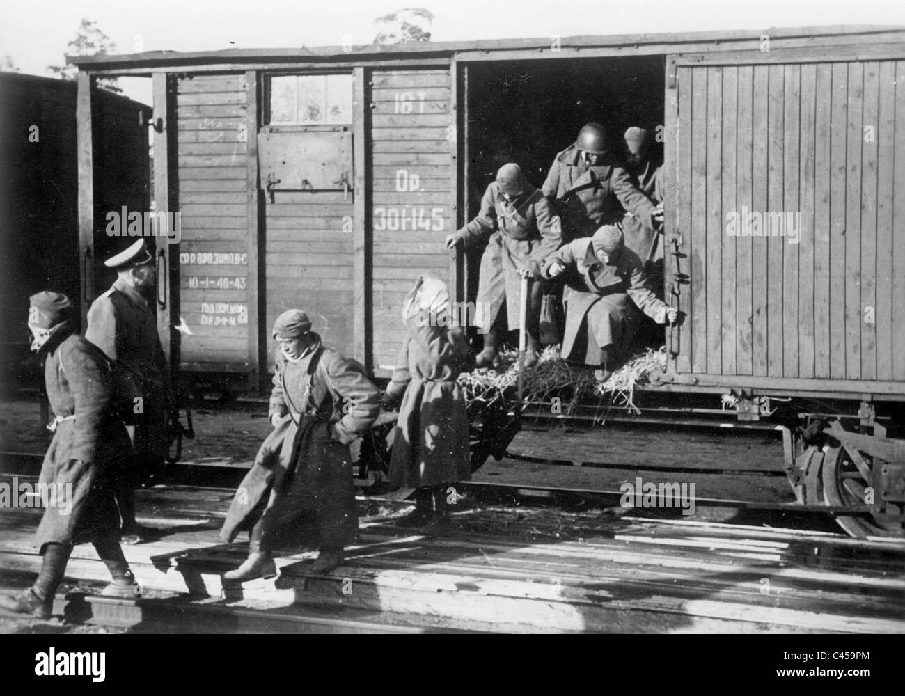 Arrivo dei prigionieri di guerra sovietici in un campo di prigionia sul fronte orientale, 1941 Foto Stock