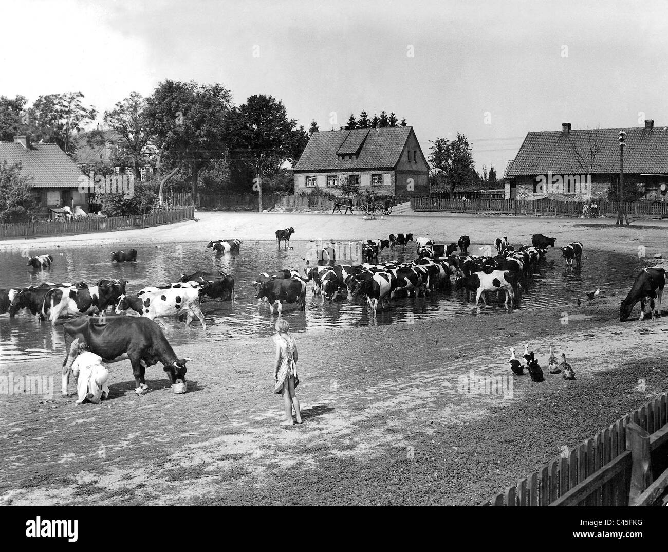 Laghetto in Kniprode. Foto Stock