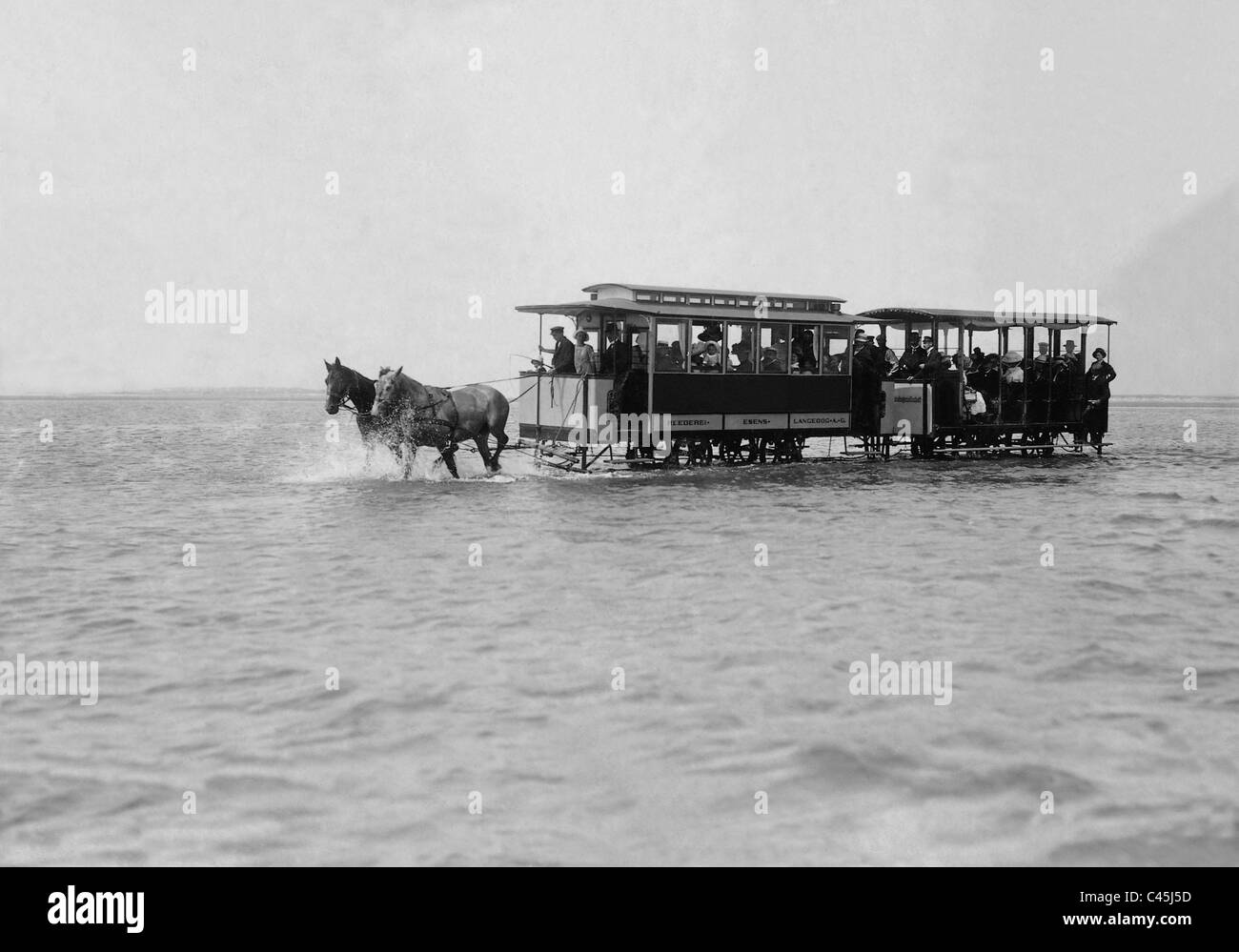 Cavalli traccia prima di Langeoog, 1912 Foto Stock