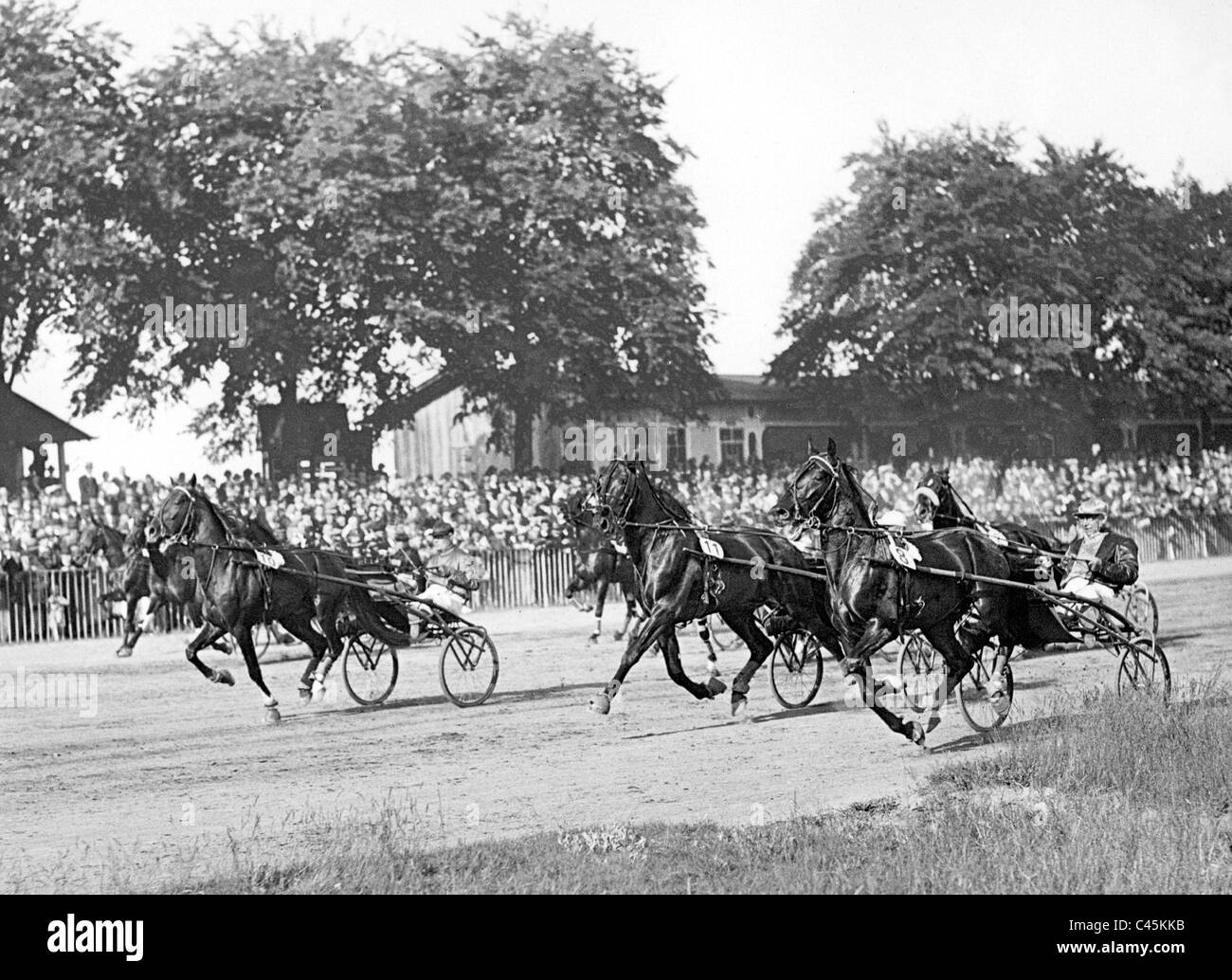 Cavallo sport: cablaggio tedesco racing derby in Ruhleben, 1933 Foto Stock