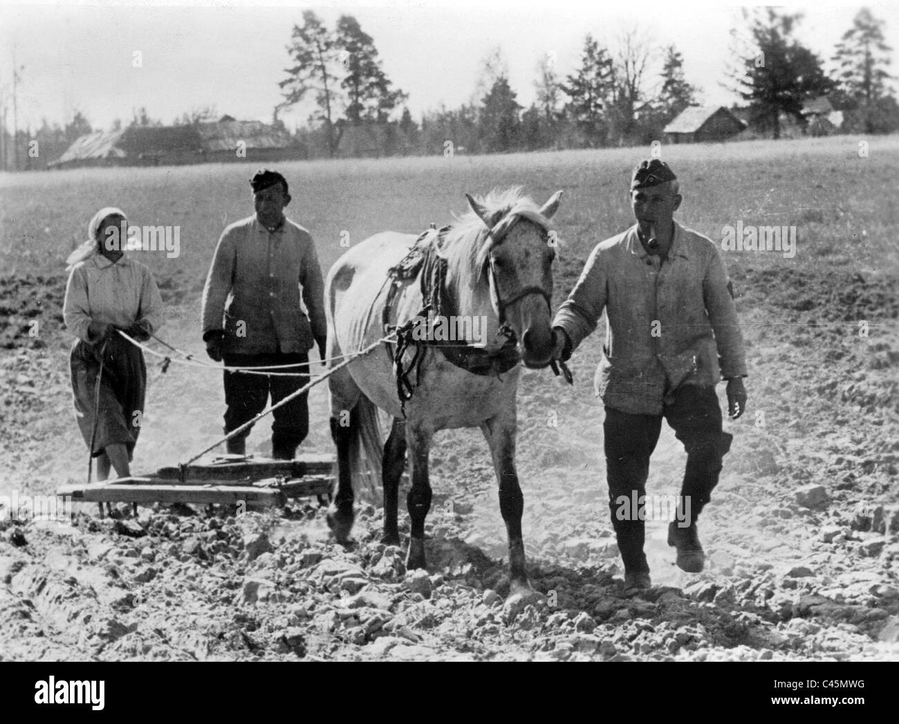 I soldati tedeschi con una contadina durante il lavoro sul campo dietro il fronte orientale, 1942 Foto Stock