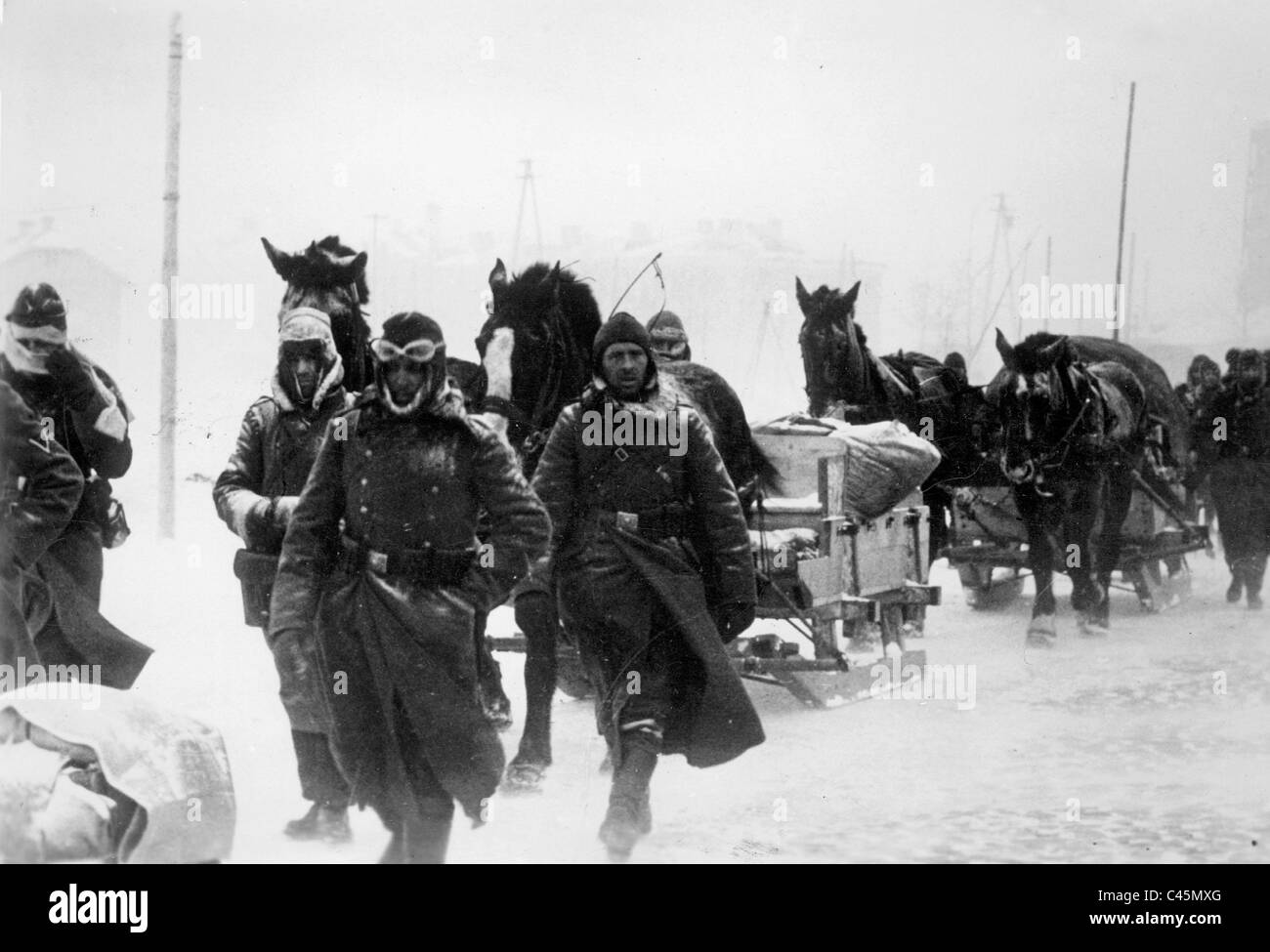 I soldati tedeschi a cavallo con slitta sul Fronte Orientale, 1942 Foto Stock