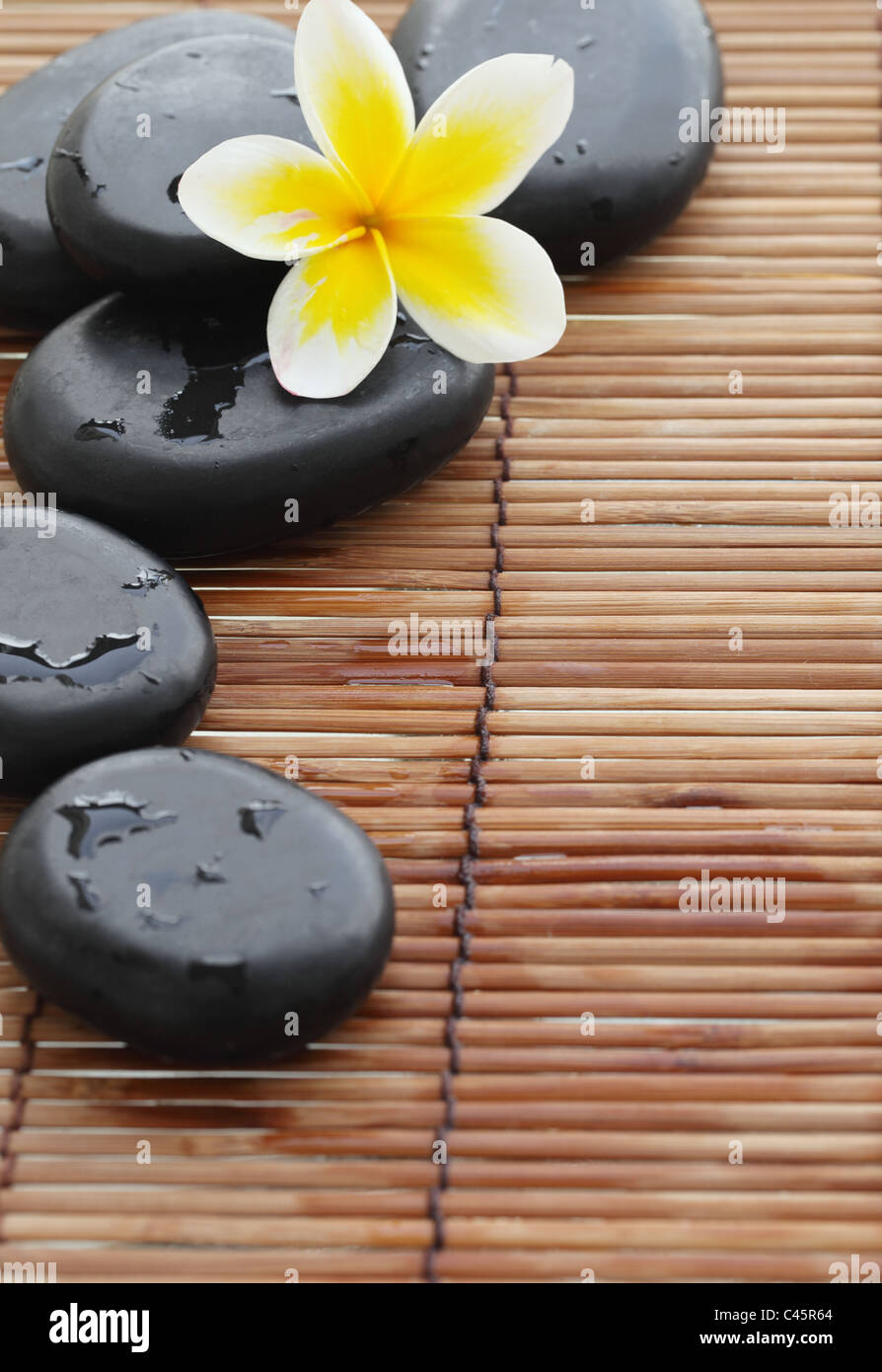 Spa ancora in vita con zen stone e fiore di frangipani,Closeup. Foto Stock