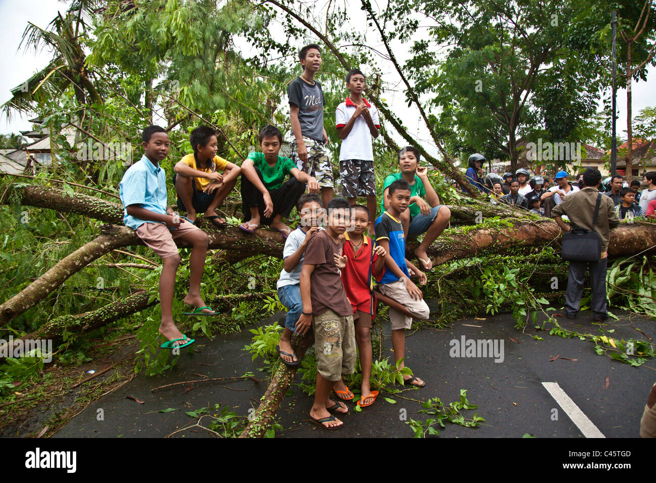Un albero blocca la strada per il DANAU BRATAN zona di montagna - Bali, Indonesia Foto Stock