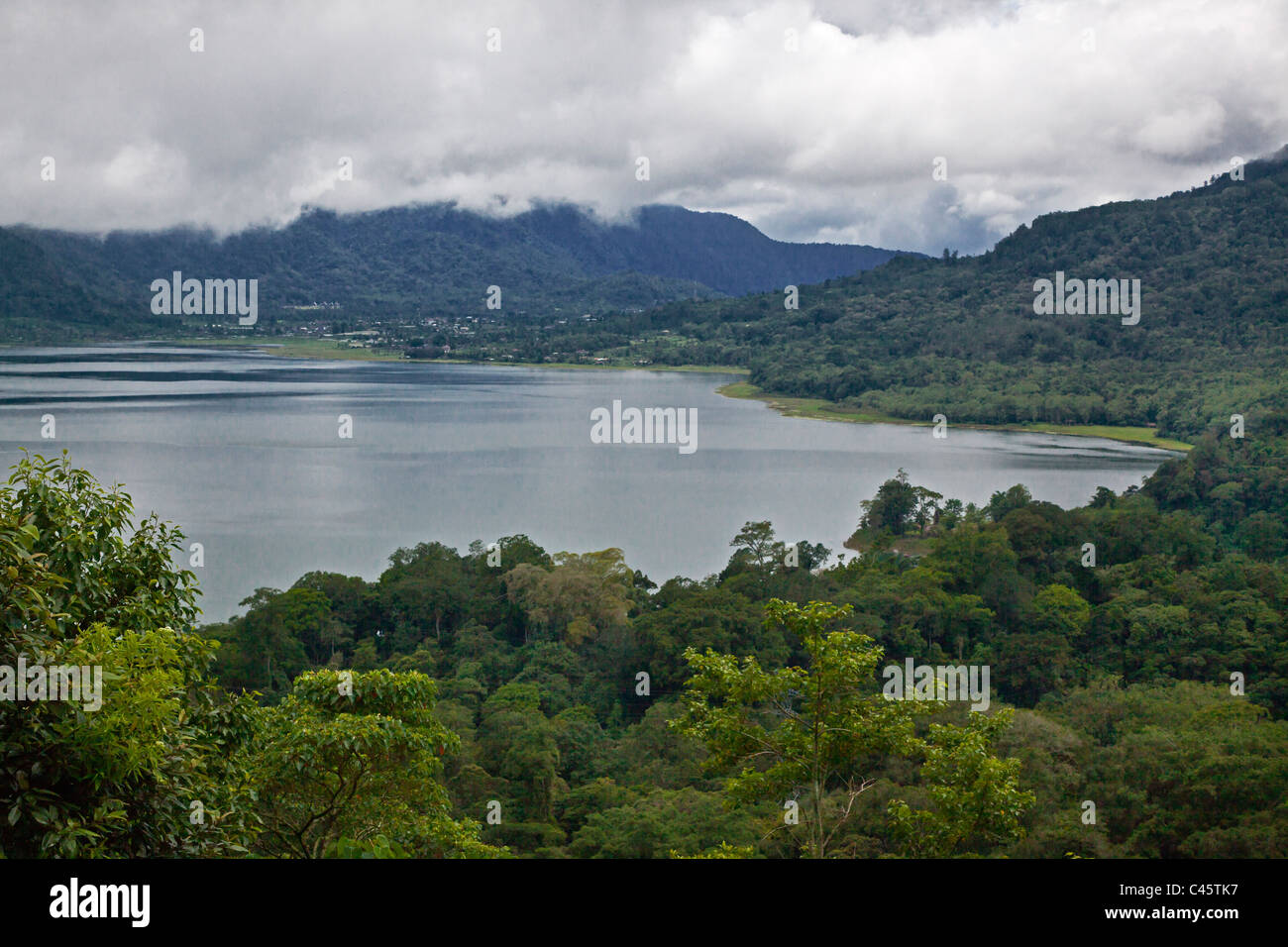 La foresta pluviale tropicale florishes sulla riva del DANAU BUYAN LAGO DEL DANAU BRATAN AREA - Bali, Indonesia Foto Stock