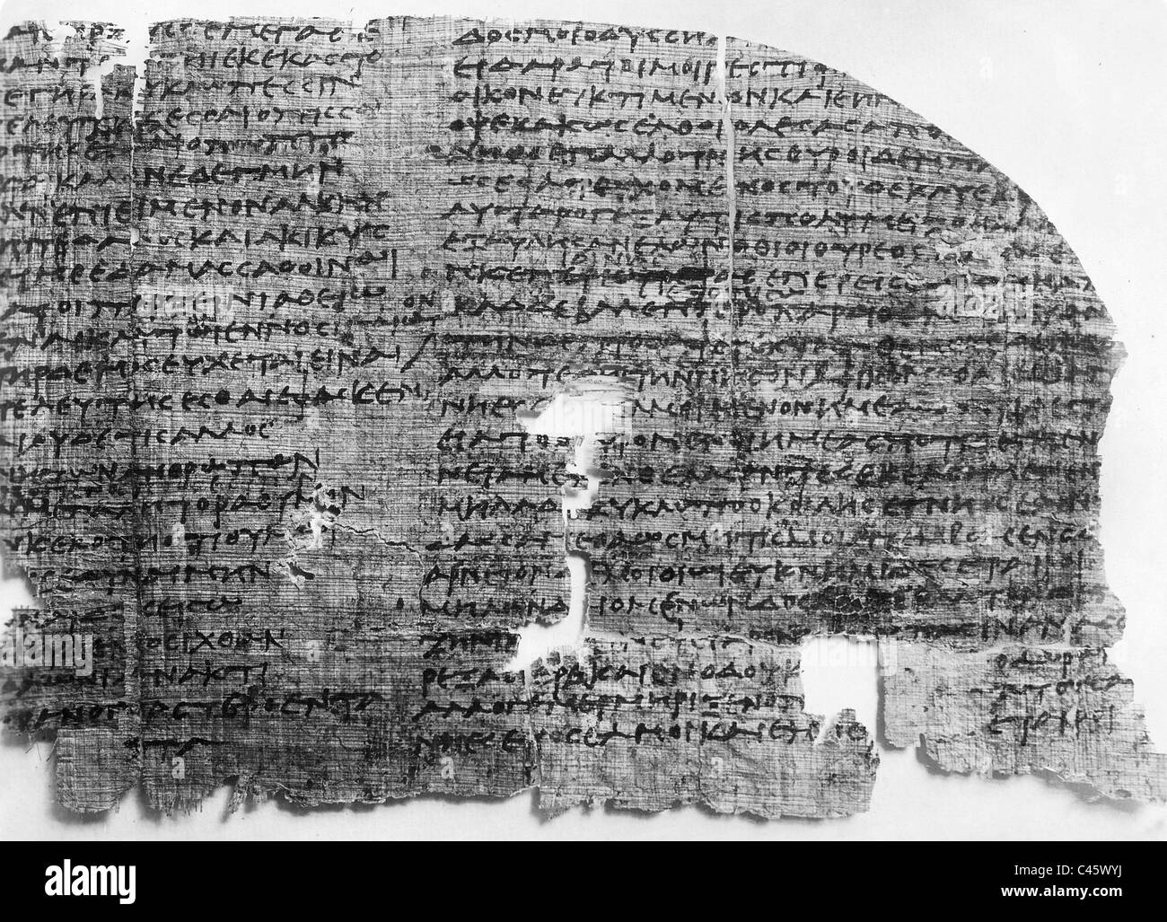 Papiro egiziano Foto Stock