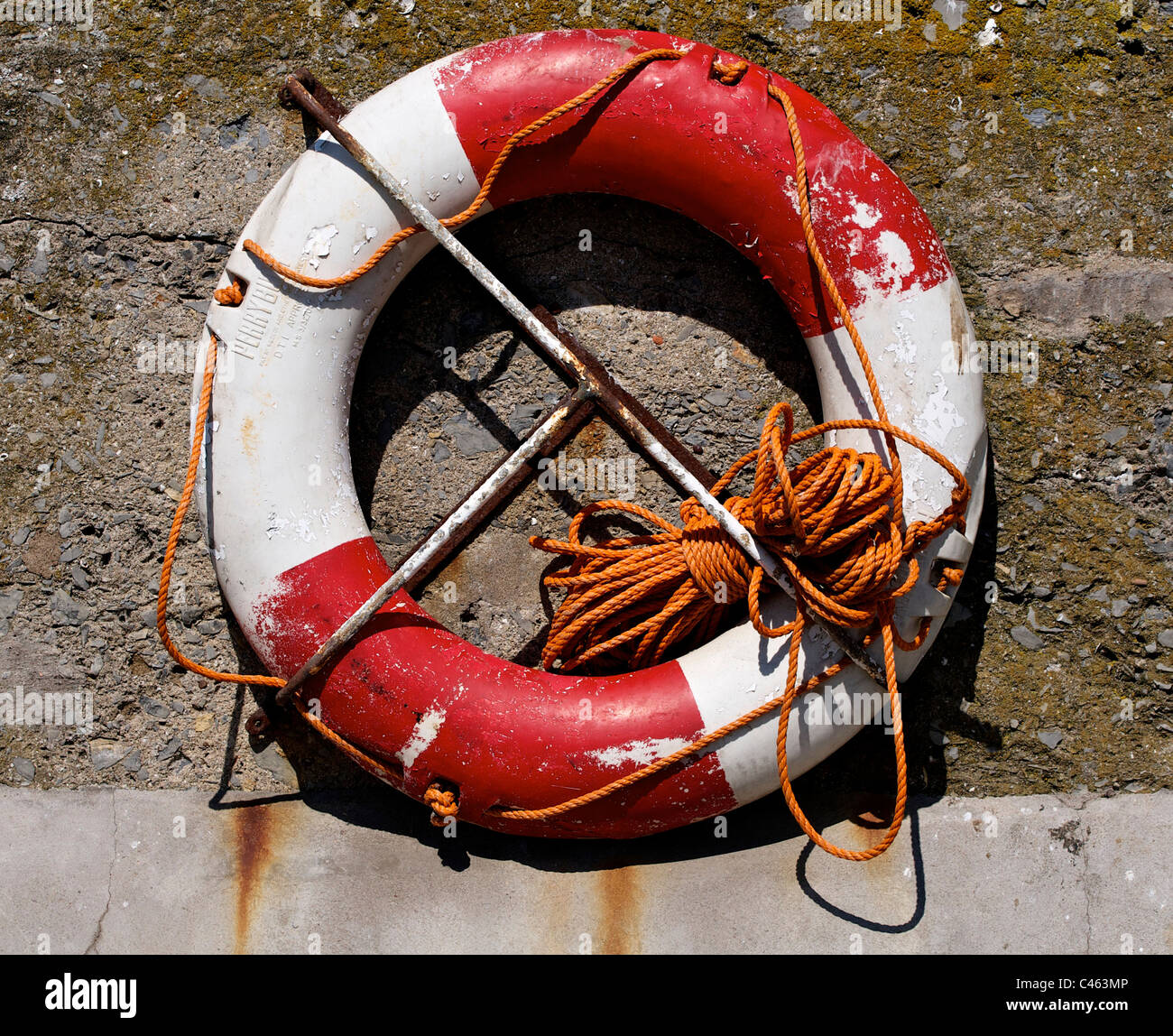 Perry Boa sulla parete del porto in Seahouses Foto Stock