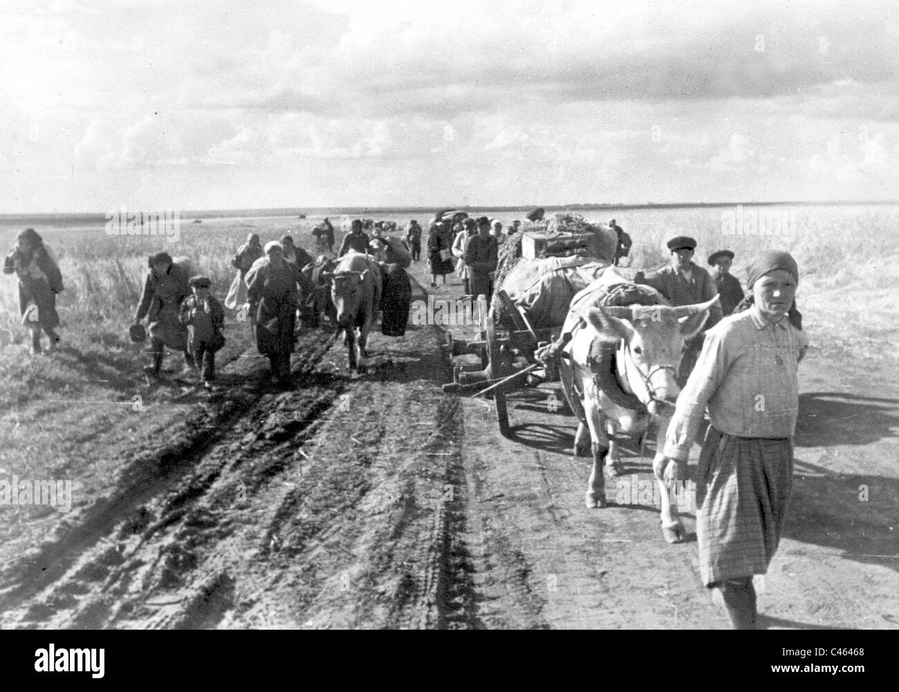 La fuga dei civili russi, 1943 Foto Stock