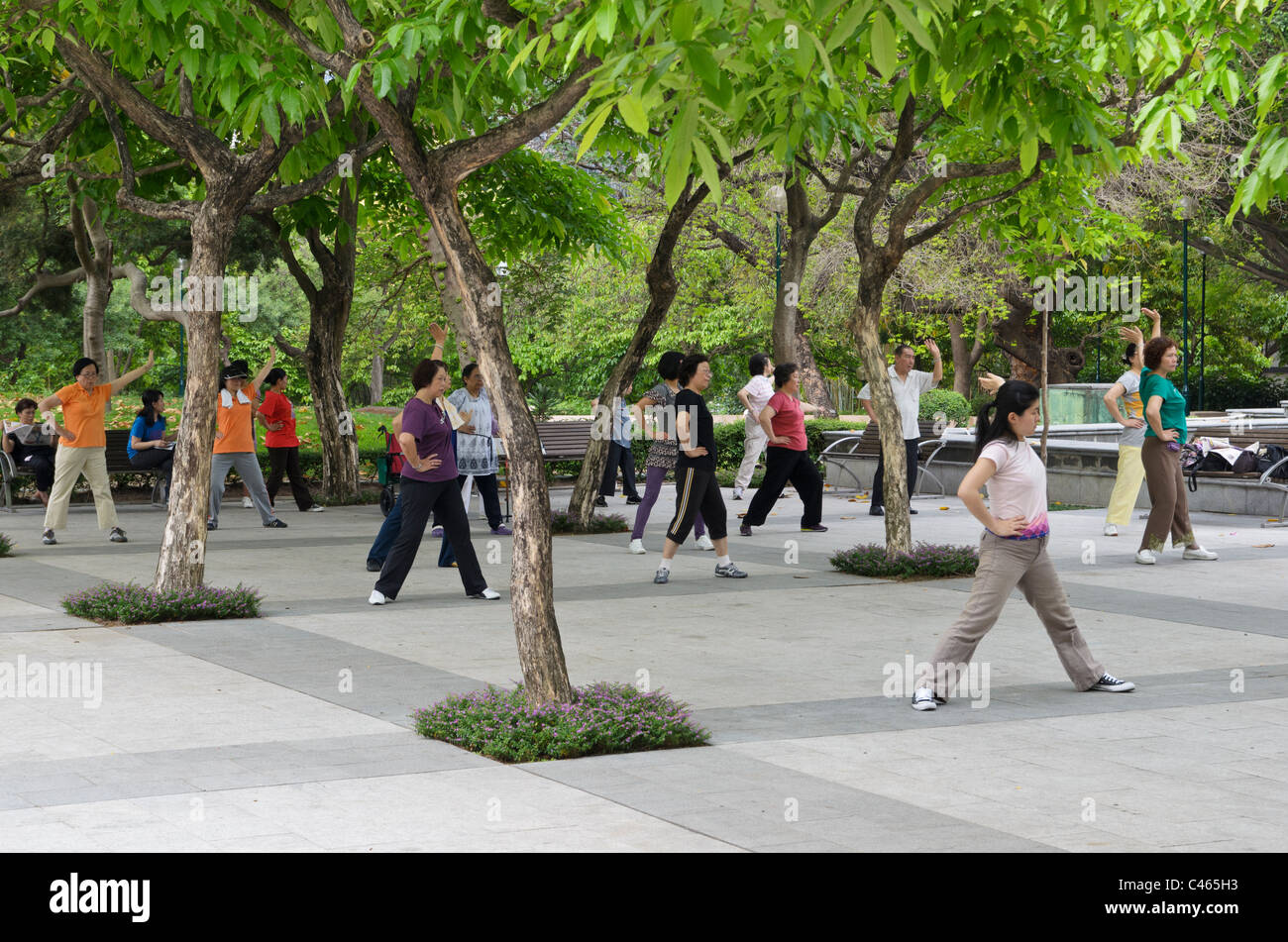 Persone che praticano T'ai Chi in un piccolo gruppo, Parco di Kowloon, Hong Kong, Cina Foto Stock